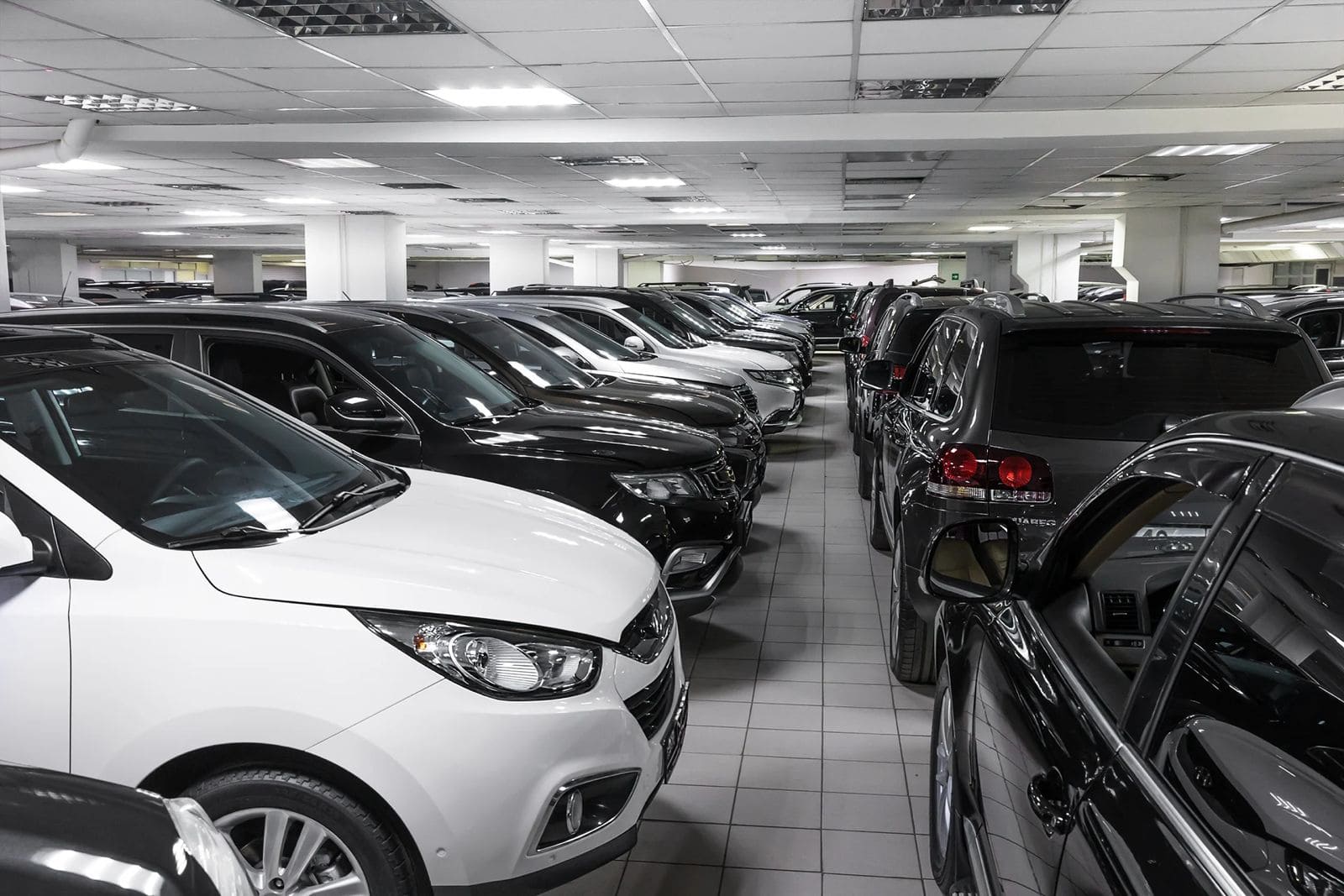 Основное фото автосалона Auto Expert