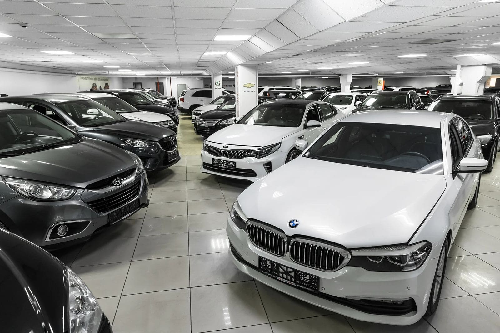 Фото автосалона Auto Expert 3