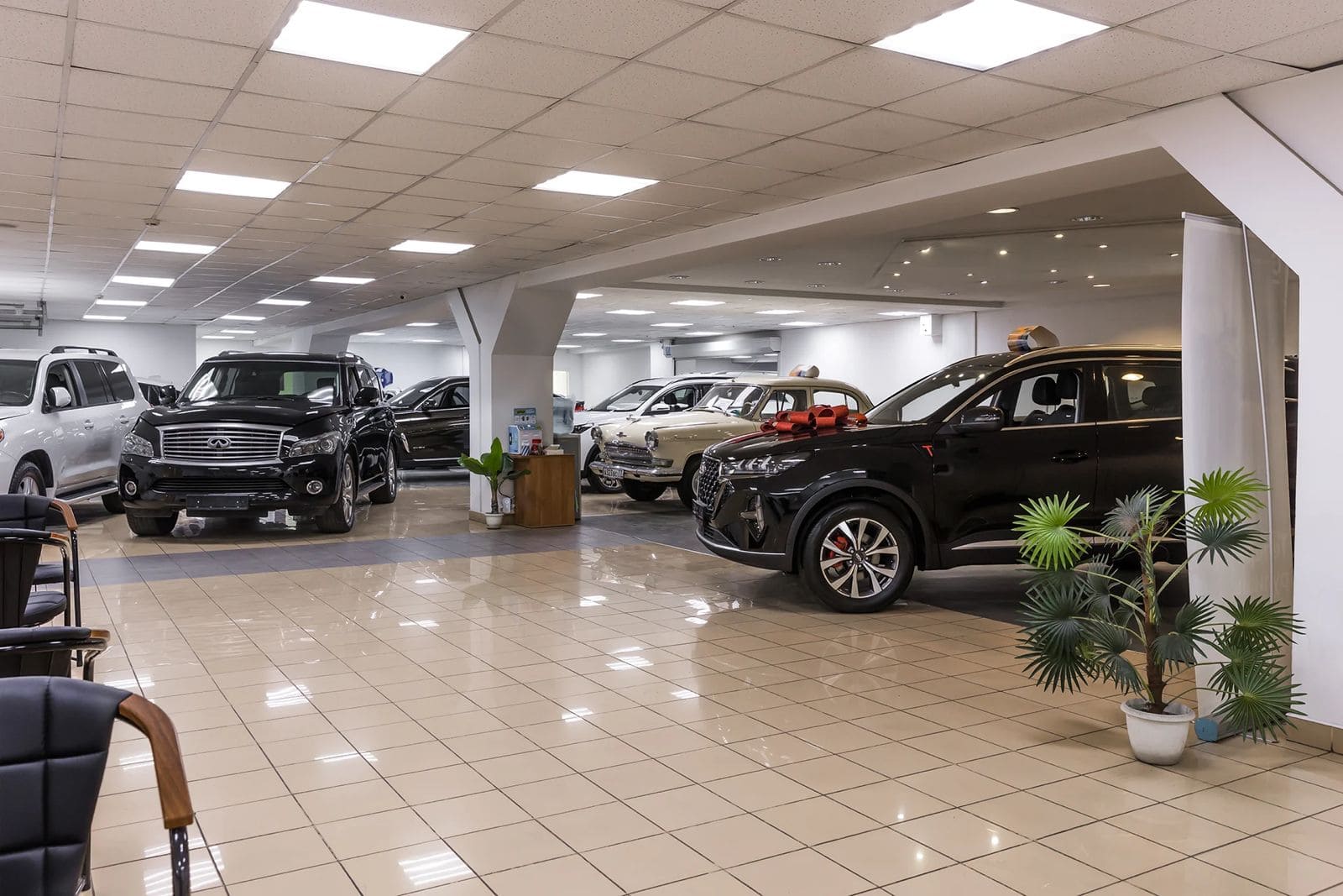 Фото автосалона Auto Expert 3